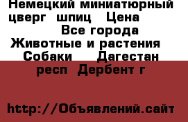 Немецкий миниатюрный(цверг) шпиц › Цена ­ 50 000 - Все города Животные и растения » Собаки   . Дагестан респ.,Дербент г.